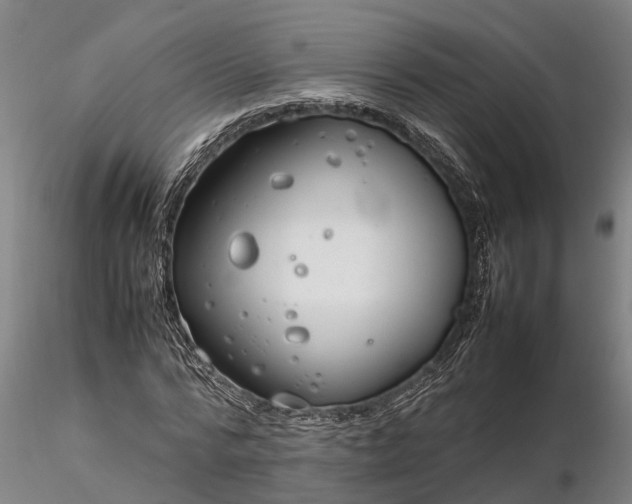 X0000116350776200912151350