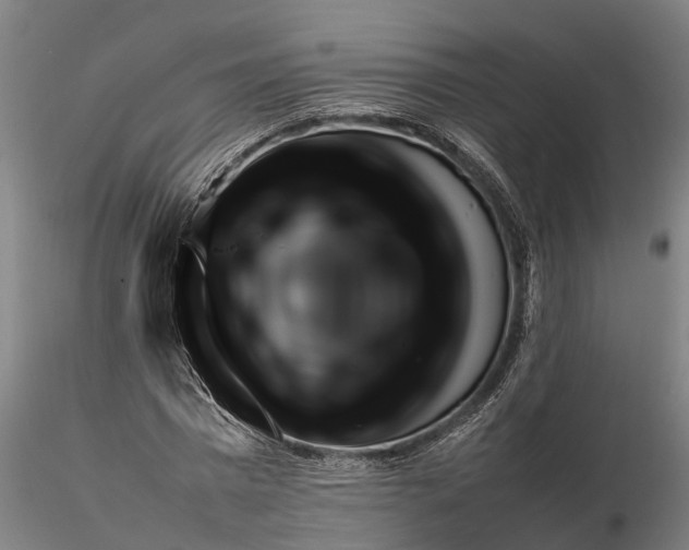 X0000116350777200912151350