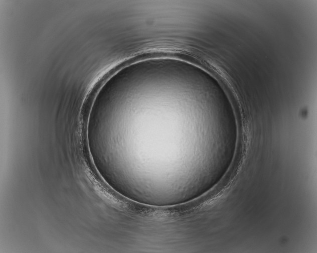 X0000116350779200912151350