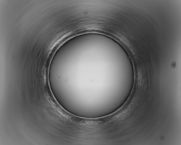 X0000116350782200912151350