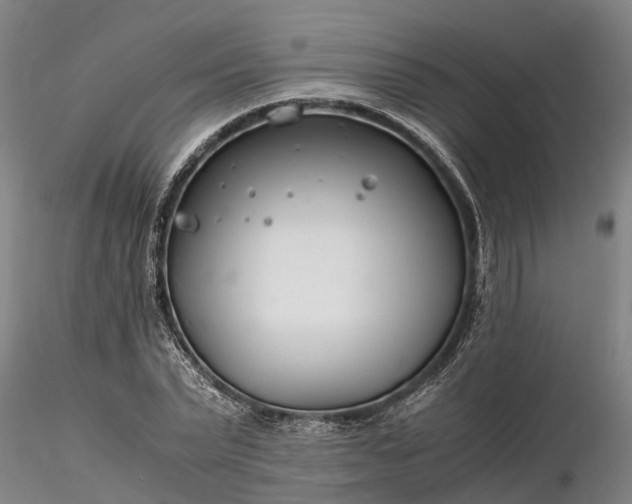 X0000116350783200912151350