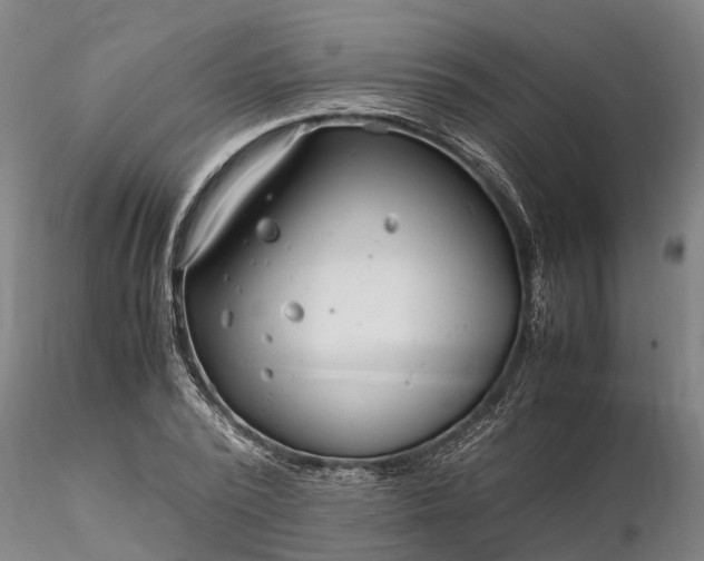 X0000116350784200912151350