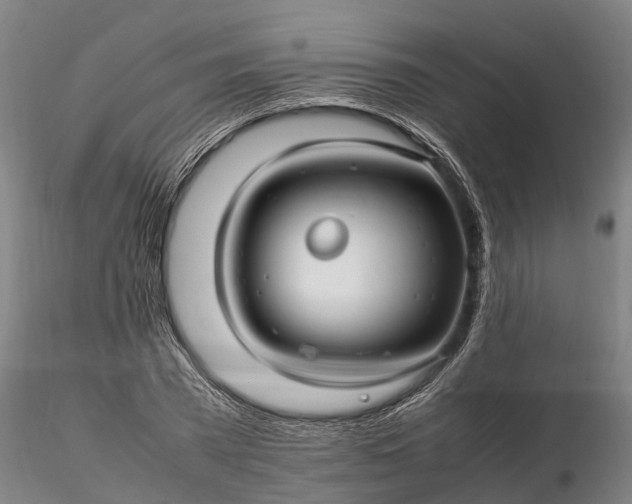 X0000116350785200912151350