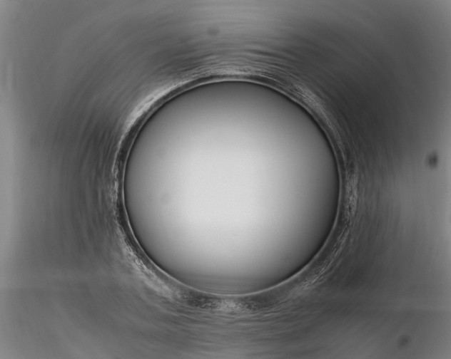 X0000116350787200912151350