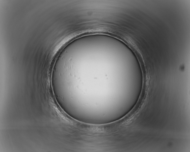 X0000116350789200912151350