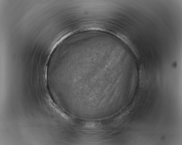 X0000116350790200912151350