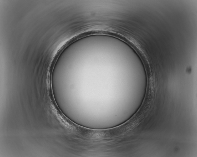 X0000116350791200912151350