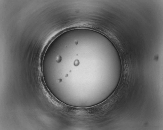 X0000116350792200912151350