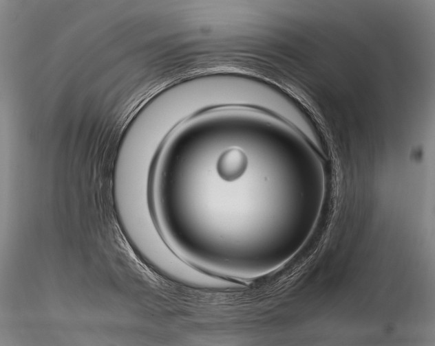 X0000116350793200912151350