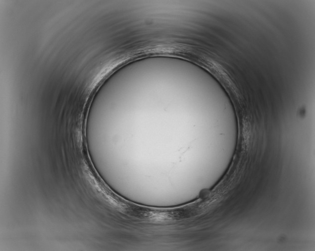 X0000116350794200912151350