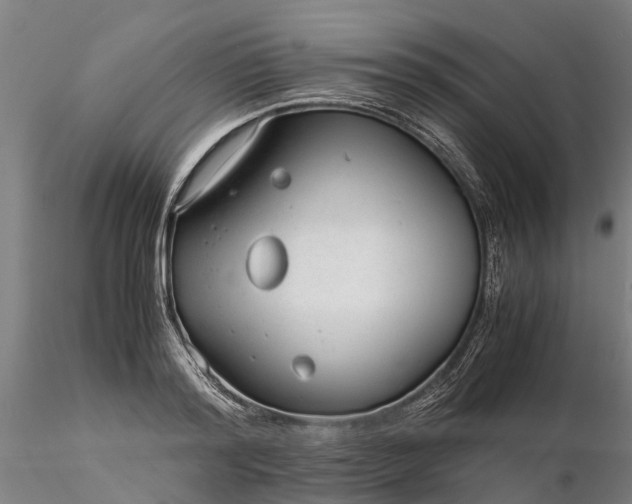 X0000116350796200912151350