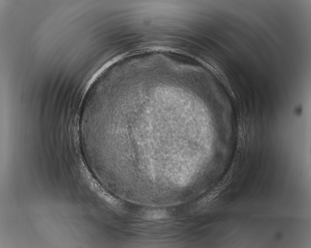 X0000116350798200912151350