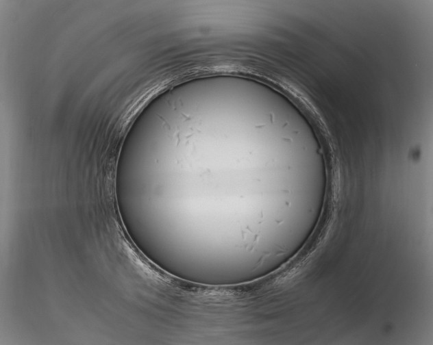 X0000116350801200912151350