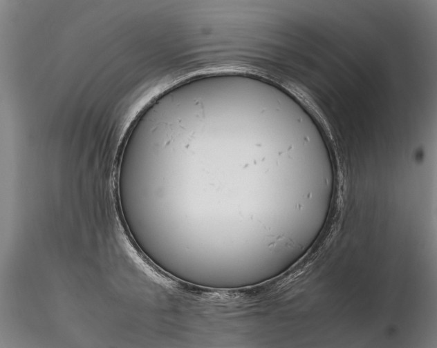 X0000116350805200912151350