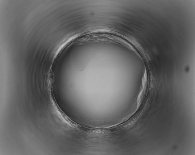 X0000116350806200912151350