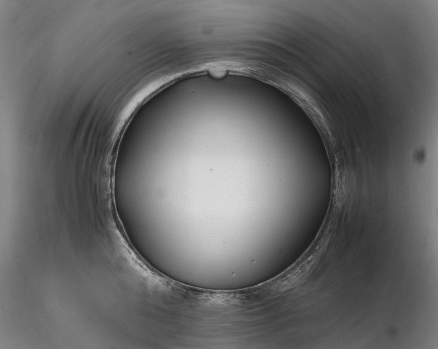 X0000116350808200912151350