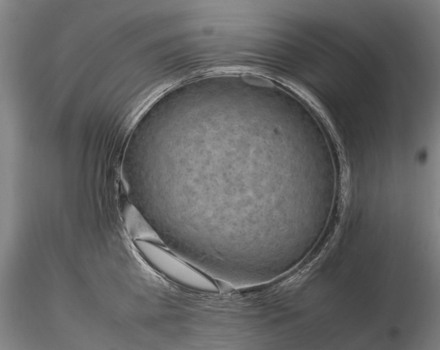 X0000116350809200912151350