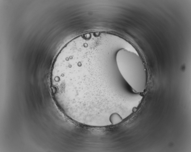 X0000116350810200912151350