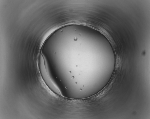 X0000116350812200912151350