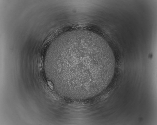 X0000116350818200912151349