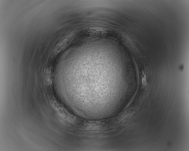 X0000116350819200912151349