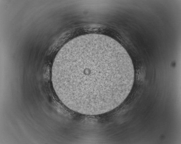 X0000116350820200912151349