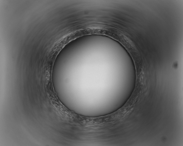 X0000116350821200912151349