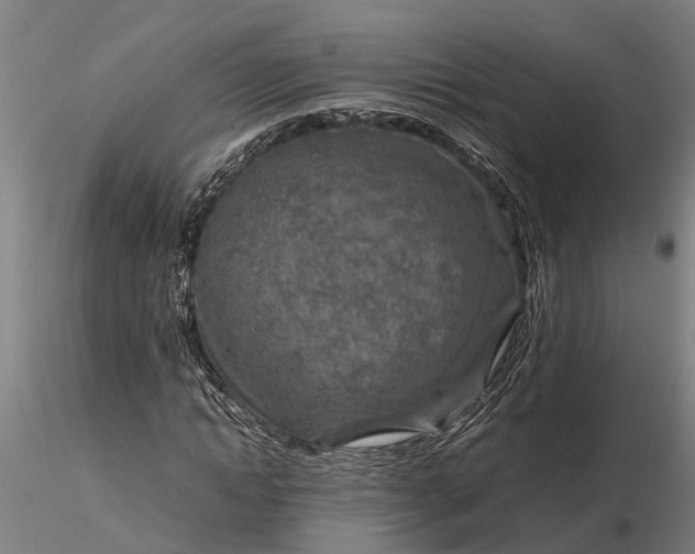 X0000116350822200912151349