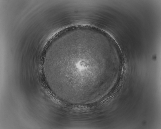 X0000116350823200912151349