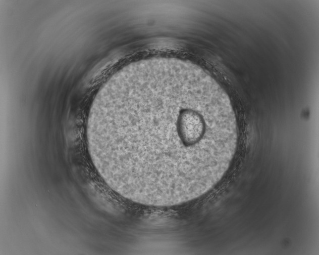 X0000116350824200912151349