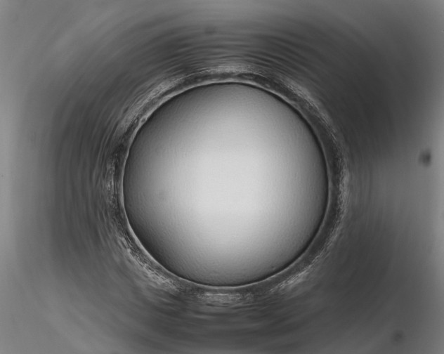 X0000116350825200912151349