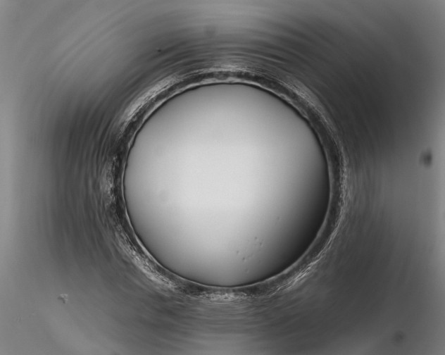 X0000116350826200912151349