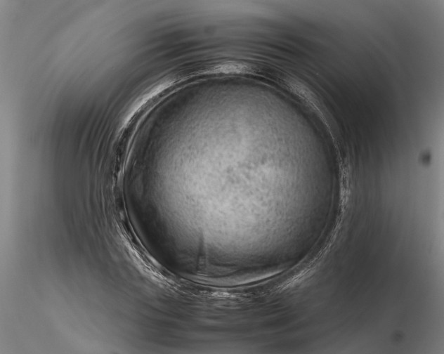 X0000116350827200912151349