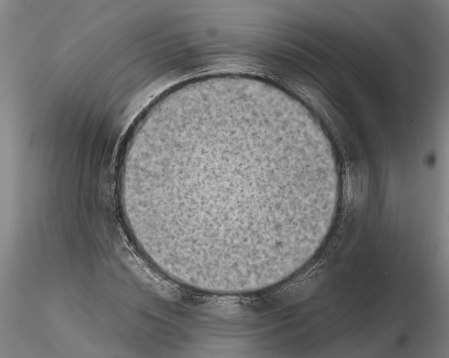 X0000116350828200912151349