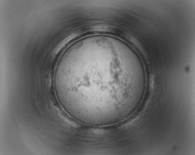 X0000116350829200912151349