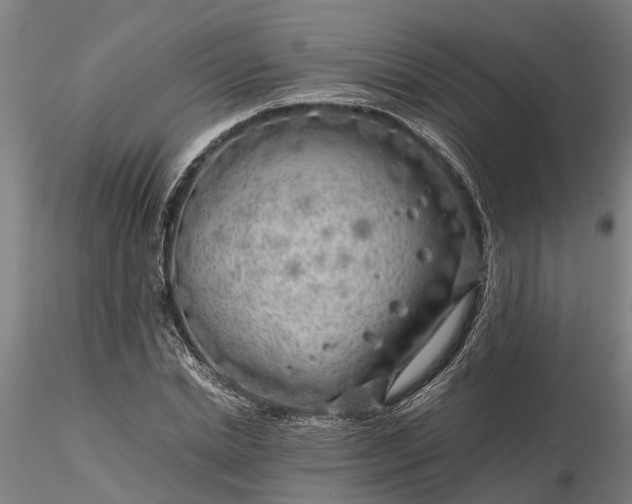 X0000116350830200912151349