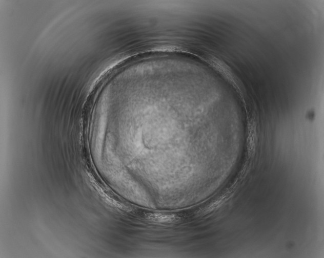 X0000116350831200912151349