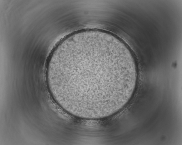 X0000116350832200912151349