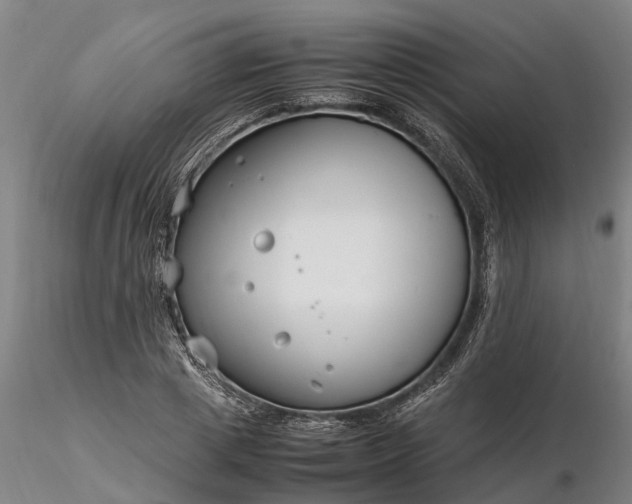 X0000116350833200912151349