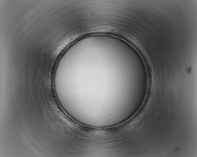 X0000116350834200912151349