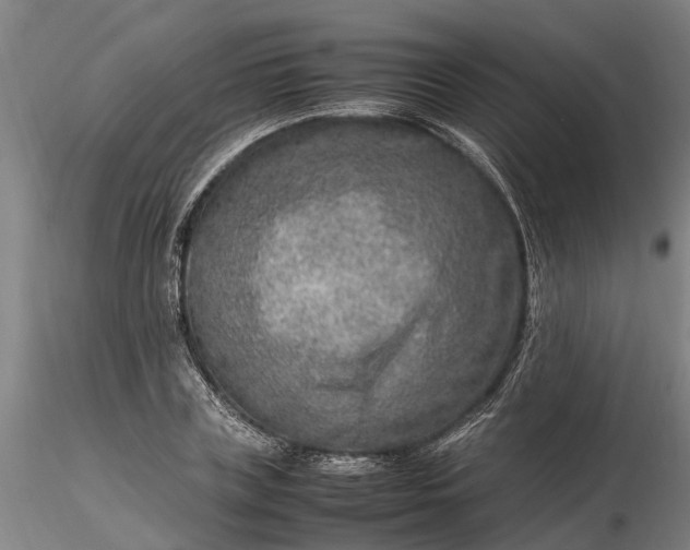 X0000116350835200912151349