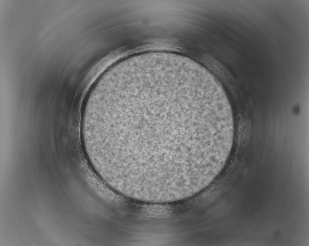 X0000116350836200912151349