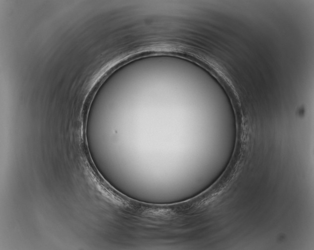 X0000116350837200912151349