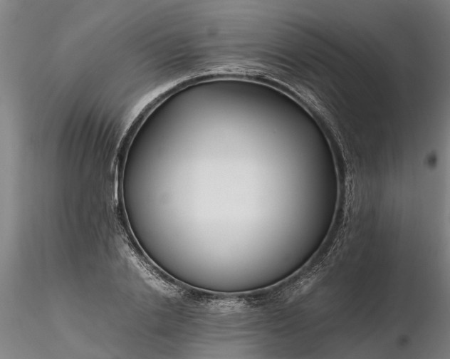 X0000116350838200912151349