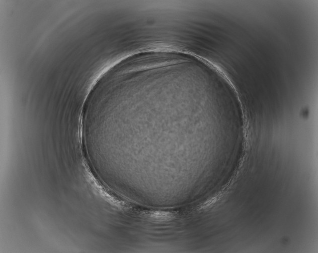 X0000116350839200912151349