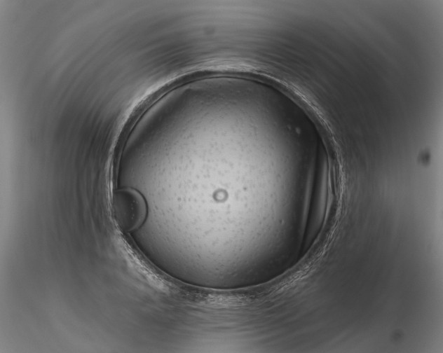 X0000116350840200912151349