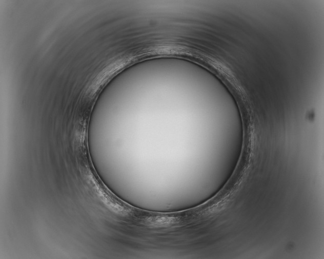 X0000116350841200912151349