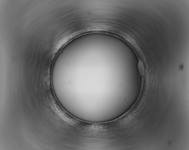 X0000116350842200912151349