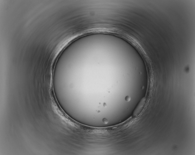 X0000116350844200912151349