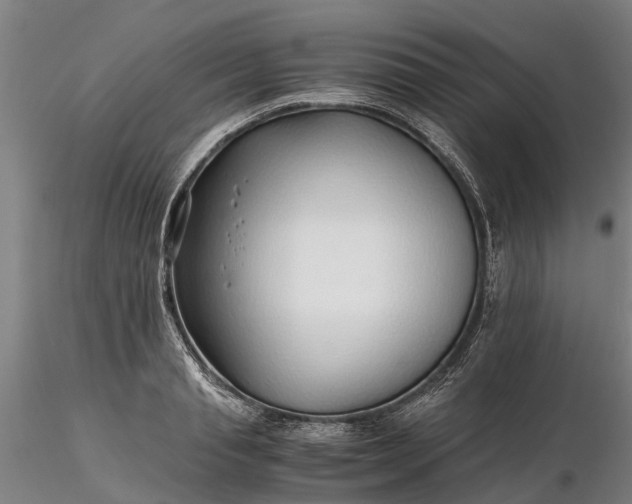 X0000116350845200912151349